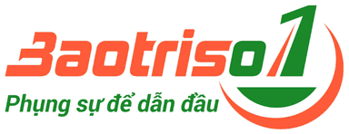 Baotriso1 – Phụng sự để dẫn đầu